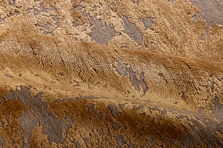 ��������� ����� �� ������ � ���-����� �CHAOS THEORY� ESK431-D.TAUPE-B.GOLD 240x300